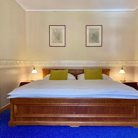 Guest house Julie 3*